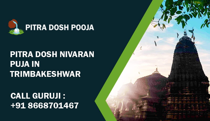 Pitra Dosh Nivaran Puja In Trimbakeshwar