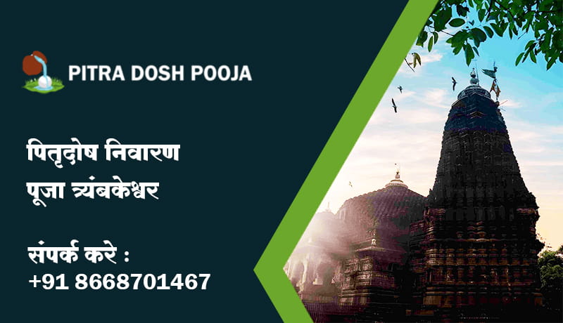 पितृ दोष निवारण पूजा त्र्यंबकेश्वर