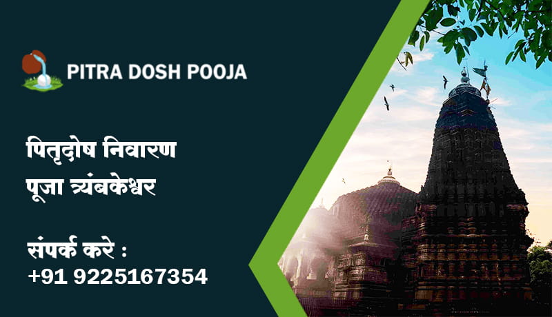 पितृ दोष निवारण पूजा त्र्यंबकेश्वर