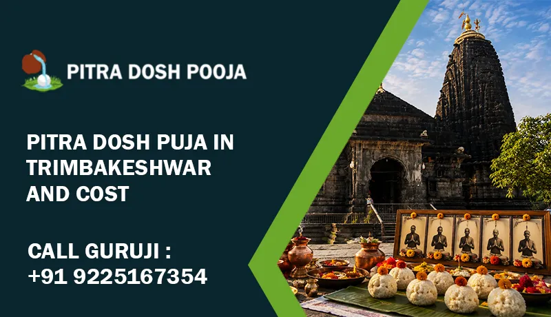 Pitra Dosh Puja In Trimbakeshwar And Cost